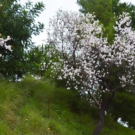 Casa Jardin Natural Βίλα *
