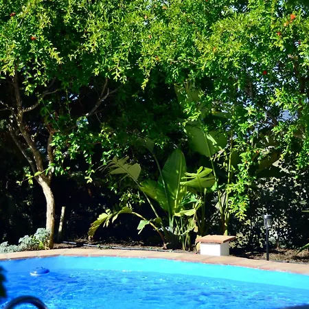 Casa Jardin Natural * Sedella