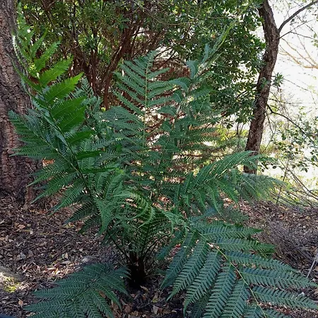 Βίλα Casa Jardin Natural Sedella